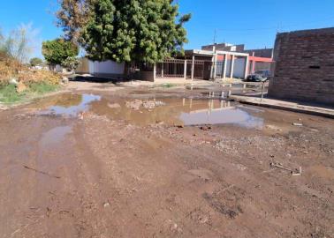 Oomapas de Cajeme: Fugas de agua se concentran en 15 colonias