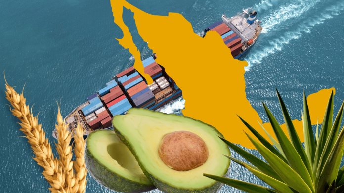 5 estados lideran el 71.6 por ciento de las exportaciones agrícolas en México 5 estados lideran el 71.6 por ciento de las exportaciones agrícolas en México