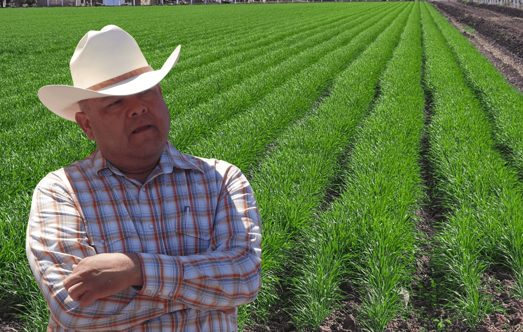 El campo requiere políticas agropecuarias para subsistir ante crisis: Mario Pablos