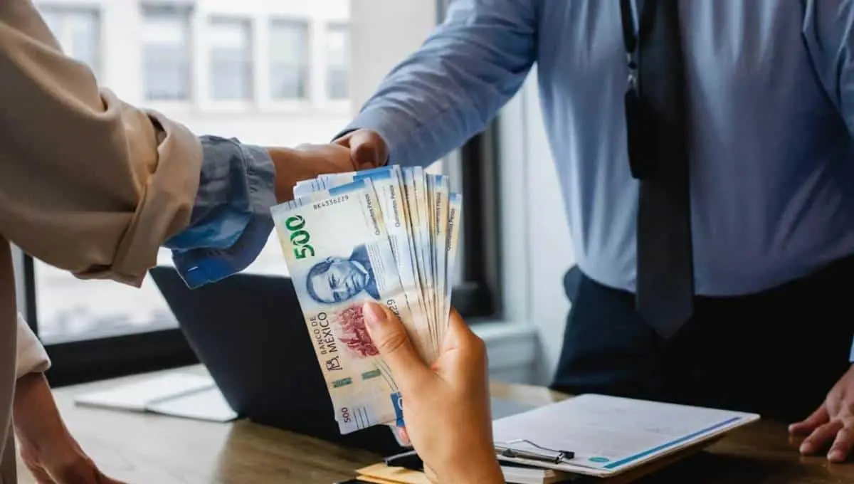 Estos serán los trabajos mejor pagados en México en 2025. Foto: Original