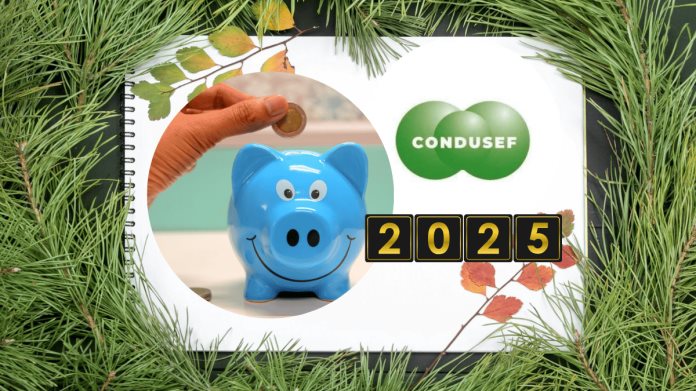 Estos son los 3 propósitos financieros que la Condusef recomienda cumplir |Año Nuevo 2025 Estos son los 3 propósitos financieros que la Condusef recomienda cumplir |Año Nuevo 2025