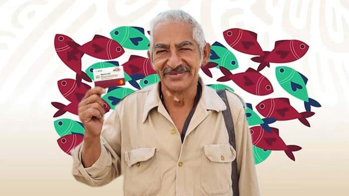 Pescadores podrían recibir hasta 7 mil 500 pesos si cumplen tres requisitos Pescadores podrían recibir hasta 7 mil 500 pesos si cumplen tres requisitos