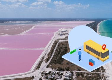 VIDEO | ¿Cómo llegar a Las Coloradas desde Mérida y en qué meses se pinta de rosa?