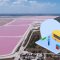 VIDEO | ¿Cómo llegar a Las Coloradas desde Mérida y en qué meses se pinta de rosa?