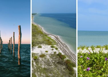 3 playas semi vírgenes que debemos visitar en Yucatán | IA