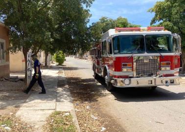 Cierran fiestas de fin de año en saldo blanco