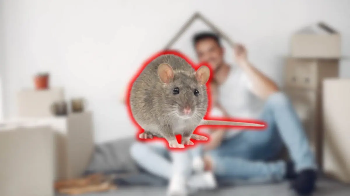 Ratones Fuentes: Freepik.es