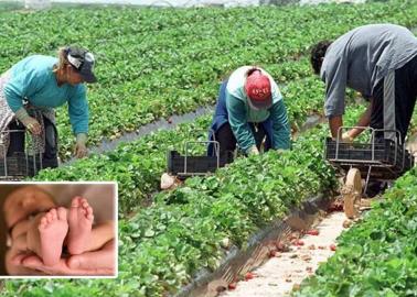 Trabajadora agrícola da a luz en plena faena y entre los surcos