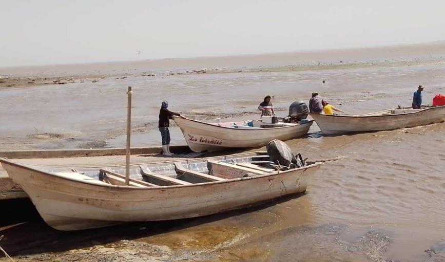 Baja pesca en el sur de Sonora