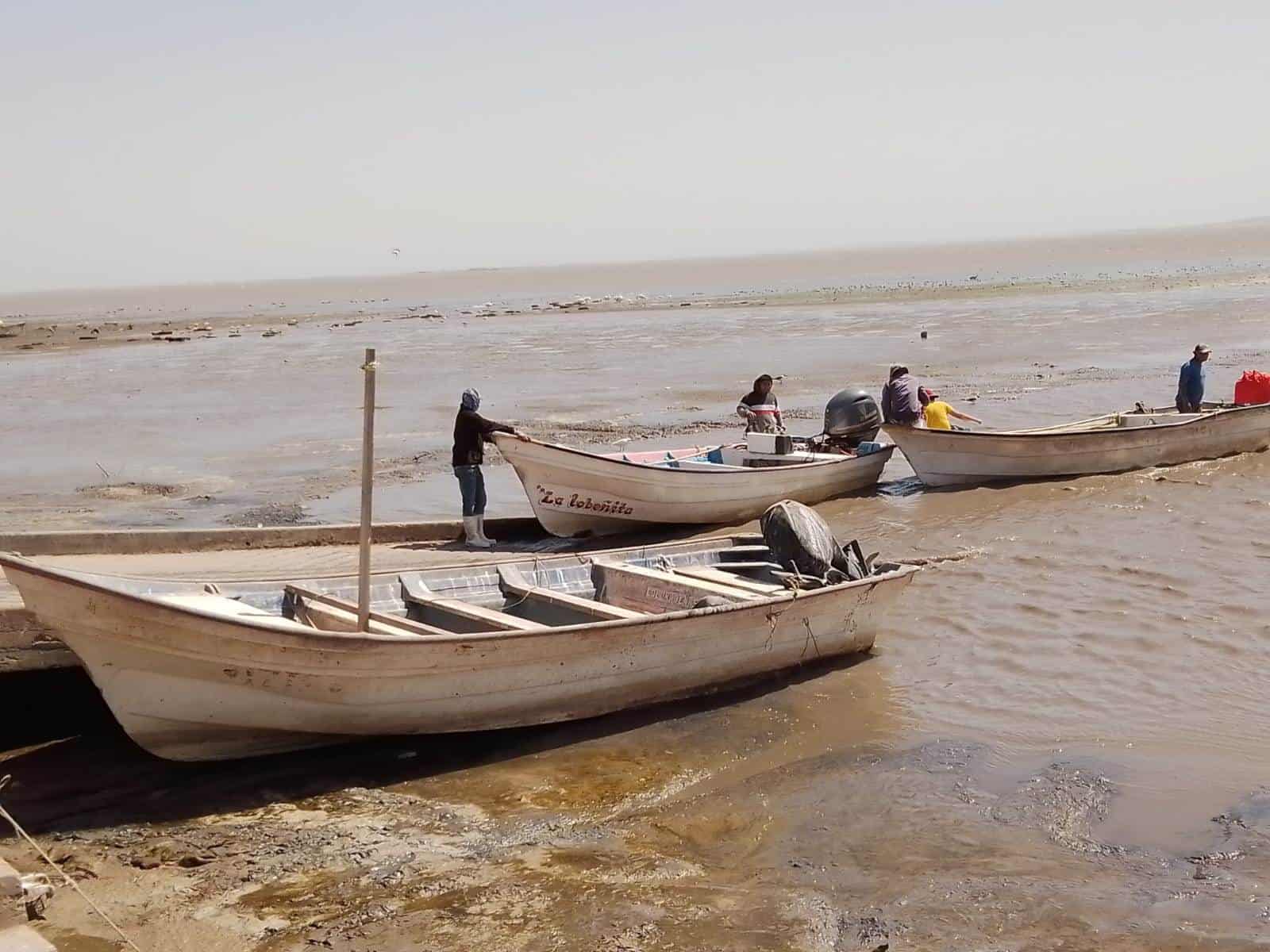 Baja pesca en el sur de Sonora