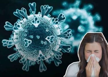 Metapneumovirus: ¿Qué es y cómo se contagia?