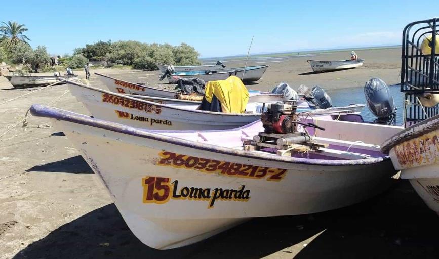 Paran pesca en el Sur de Sonora por tormenta invernal