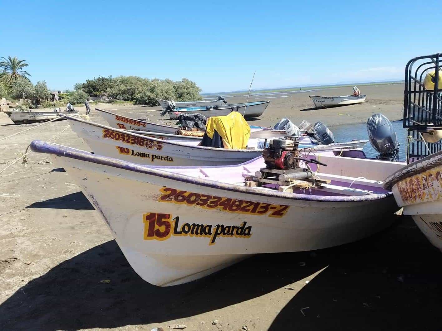 Paran pesca en el Sur de Sonora por tormenta invernal