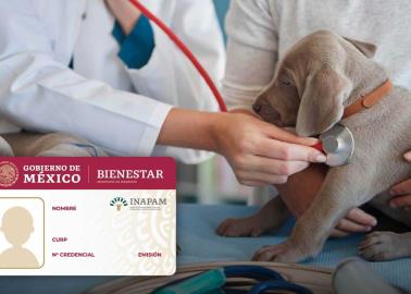 Inapam: ¿Cuáles son los veterinarios en Yucatán con descuento para adultos mayores?