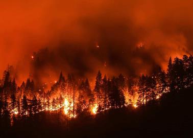 Incendios en California alcanzan niveles críticos: evacuaciones masivas y víctimas mortales