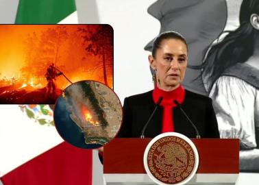 Gobierno de México ofrece apoyo a California ante devastadores incendios forestales