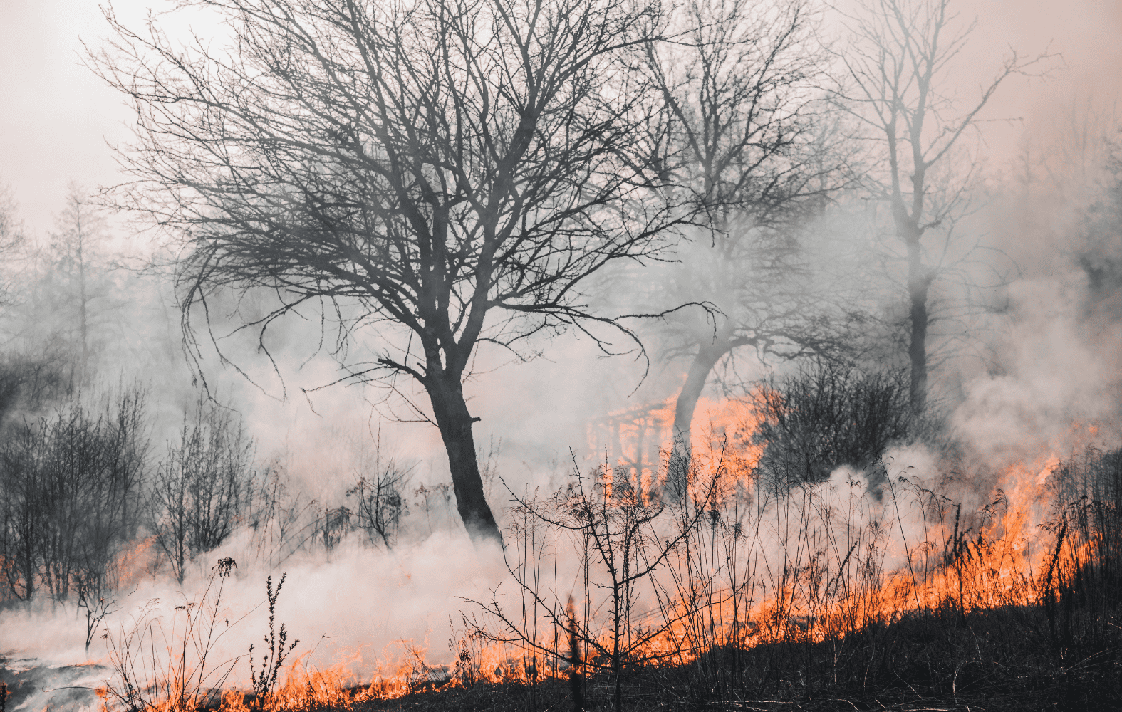 NASA alerta que el aumento de temperaturas globales intensifica incendios, nevadas y huracanes