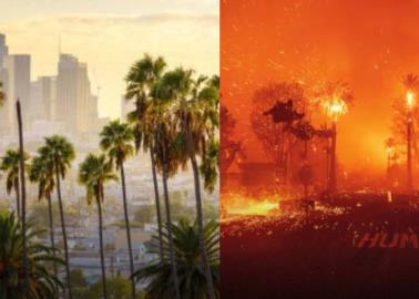 Antes y después de los devastadores incendios en Los Ángeles