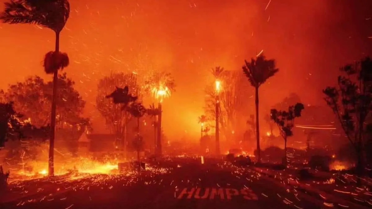Incendios de California Fuentes: X
