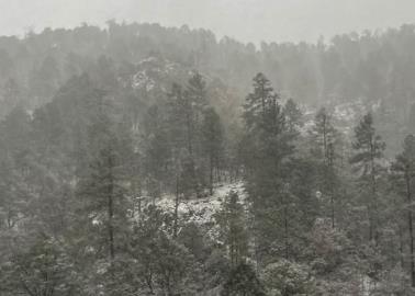 Clima en Sonora hoy 14 de enero: Se pronostica otro sistema invernal, con lluvias y caída de nieve