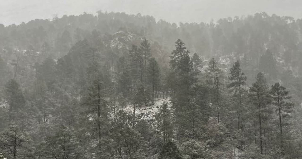 Clima en Sonora hoy 14 de enero: Se pronostica otro sistema invernal, con lluvias y caída de nieve