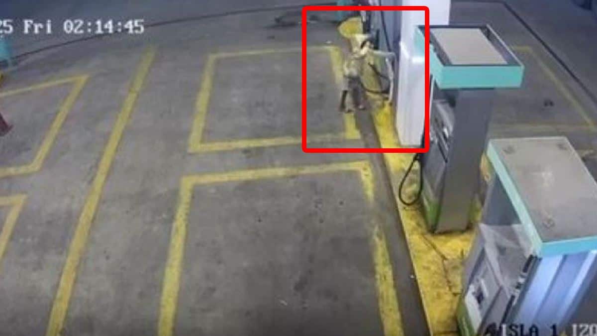 VIDEO | Niño de 9 años asalta a mano armada una gasolinería; amenazó al despachador con dispararle