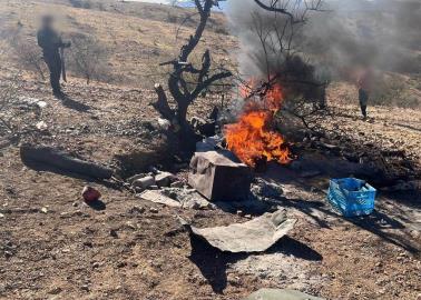 Autoridades destruyen "narco campamento" en Nogales