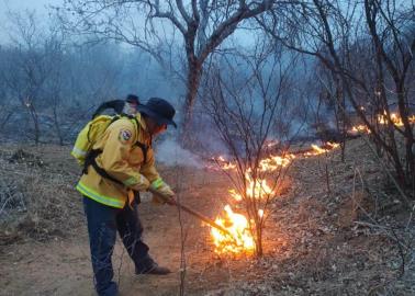 Buscan evitar incendios forestales en Sierra de Álamos