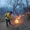 Buscan evitar incendios forestales en Sierra de Álamos