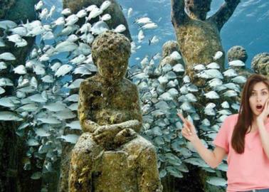 Conoce el primer museo bajo el agua de México; entidad, precios y todo lo que debes saber