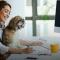 Oficinas pet-friendly: ¿Cómo llevar a tu perro al trabajo?