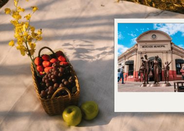 VIDEOS | 3 parques para hacer un picnic en Sonora, según la inteligencia artificial 