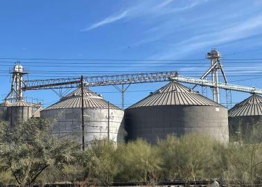 Afectarían aranceles al sector agrícola