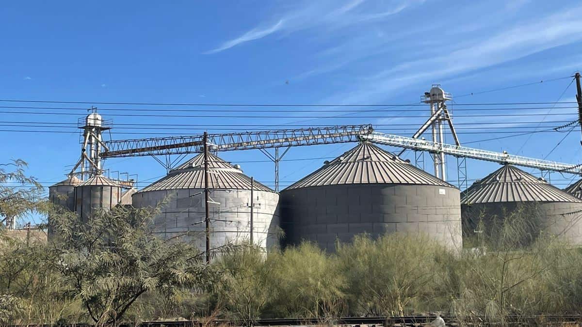 Afectarían aranceles al sector agrícola