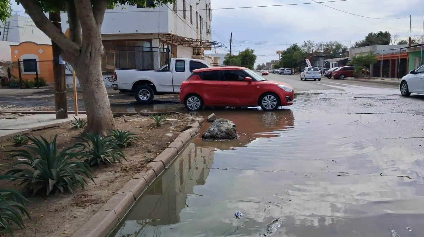 Oomapasc: Al alza, reportes por problemas con la red sanitaria