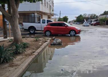 Oomapasc: Al alza, reportes por problemas con la red sanitaria