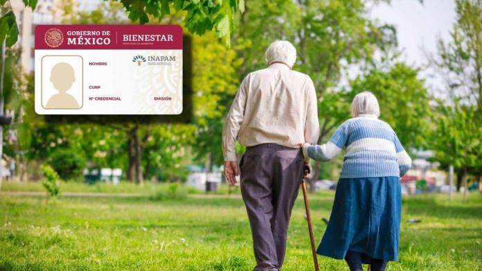 Inapam 2025: beneficios desconocidos a los que pueden acceder los adultos mayores