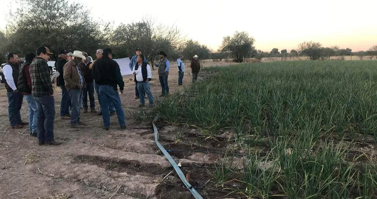 Son apoyos de hasta 24 mil pesos