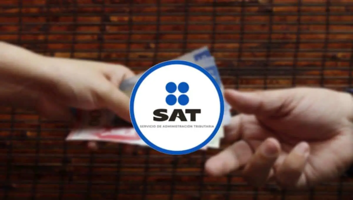 SAT prohíbe pagar estos productos con efectivo; conoce la razón. Foto: Original