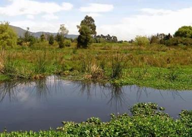 En Día Mundial de los Humedales recuerdan que Sonora cuenta con 70