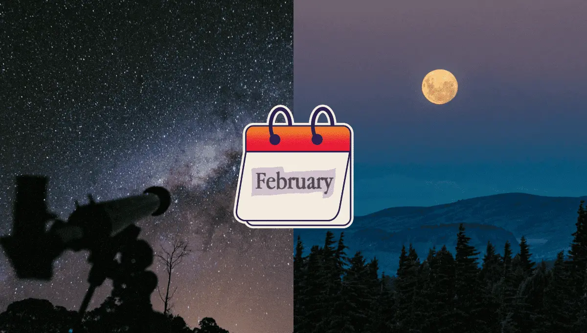 Fuente: Pexels/ Lucas Pezeta/Mario Amé, Canva