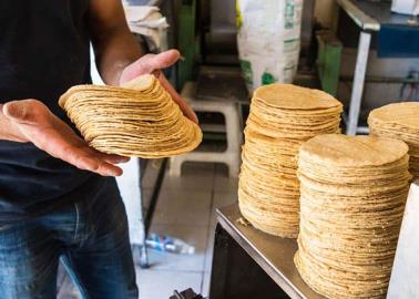 Sube 34 centavos el costo de la tortilla en Cajeme