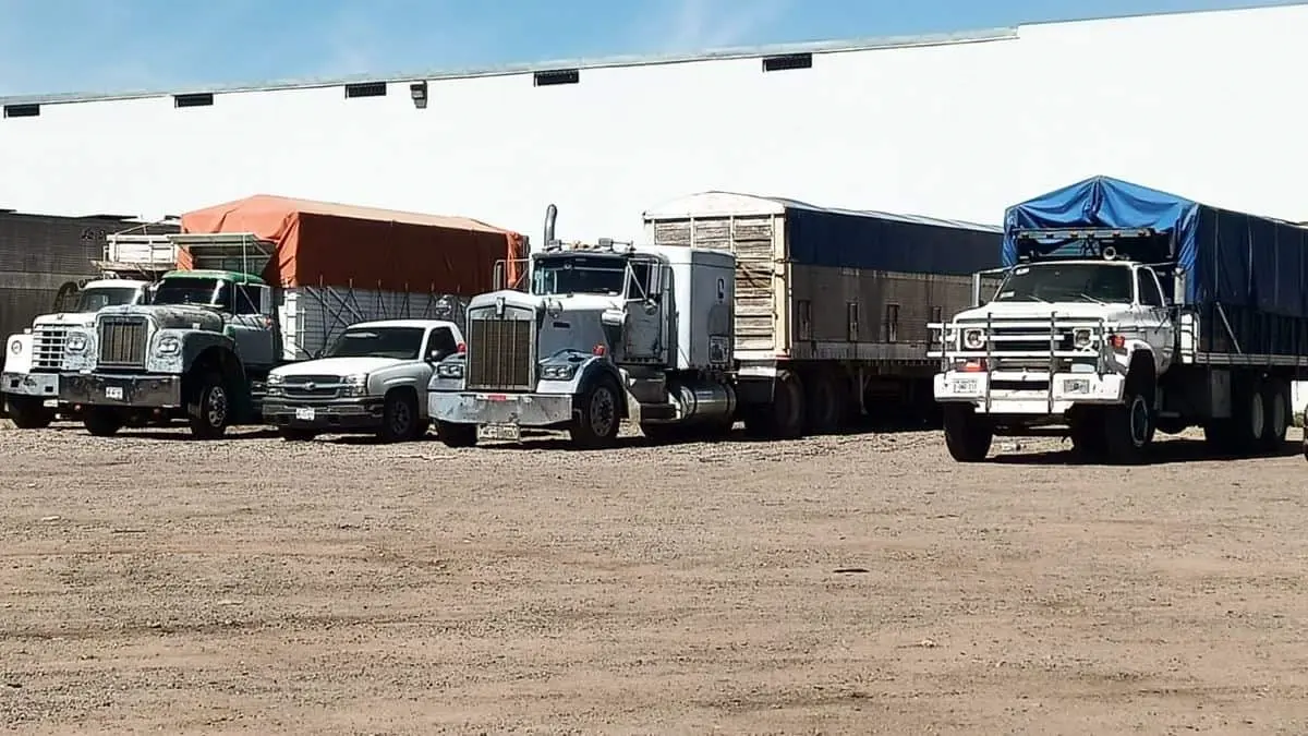 Transporte de carga agrícola está en crisis
