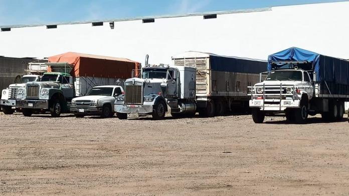 Transporte de carga agrícola está en crisis Transporte de carga agrícola está en crisis