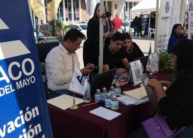 Navojoa recupera empleos