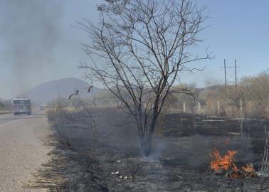 Incrementa riesgo en Álamos por incendios forestales