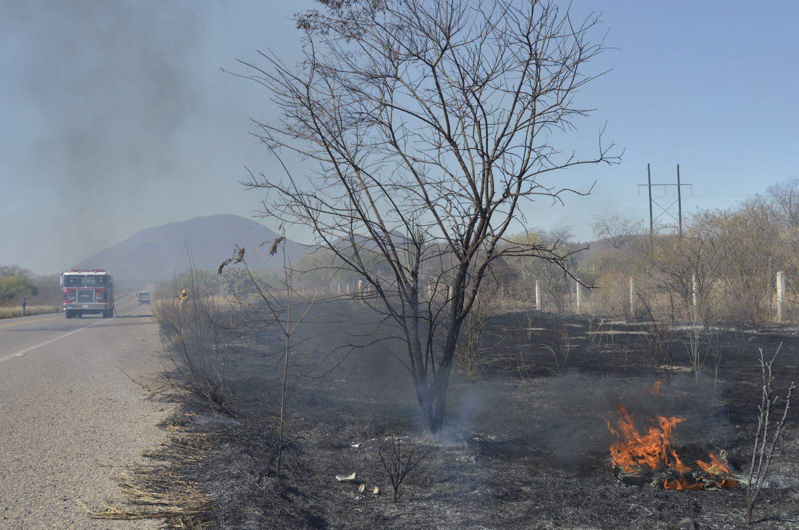 Incrementa riesgo en Álamos por incendios forestales