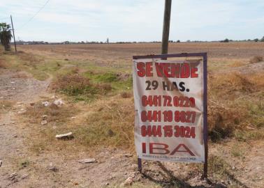 Ponen en venta tierras agrícolas en el Valle del Yaqui