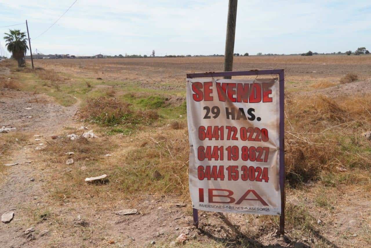 Ponen en venta tierras agrícolas en el Valle del Yaqui