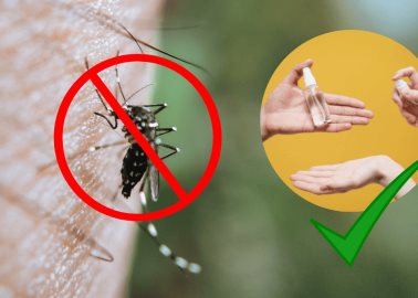 3 métodos que NO funcionan para alejar a los mosquitos de casa ¿Cuáles son efectivos?